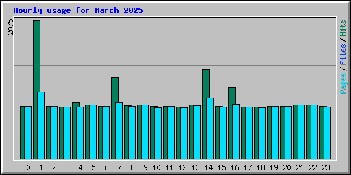 Hourly usage for March 2025