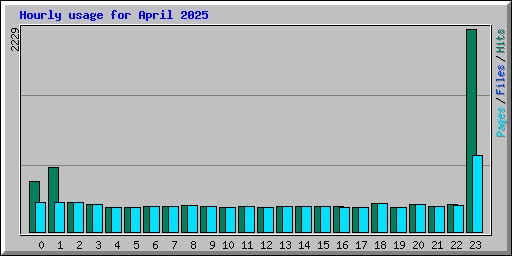 Hourly usage for April 2025